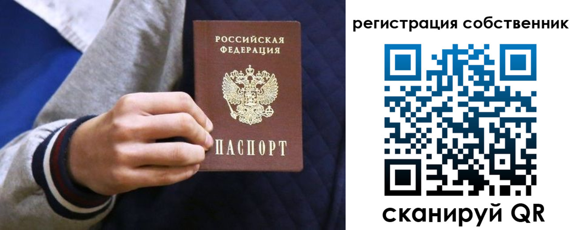 прописка поиск в Павловском Посаде